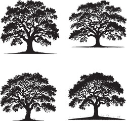 High-Quality Monochrome Vector Silhouettes of the Live Oak Tree Isolated on a White Background"