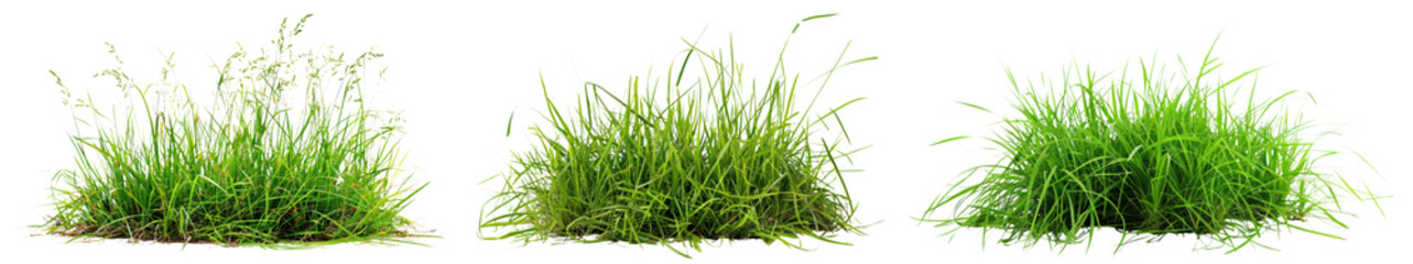Obraz premium Green grass lawn png cut out element set, transparent background