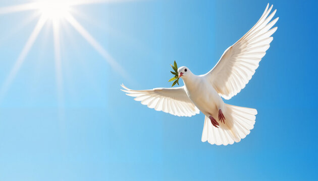 White dove soaring with olive branch in blue sky, symbol of peace - Powered by Adobe