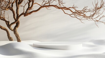 A minimalist setting features a stark white display platform resting on a plain terrain alongside a...