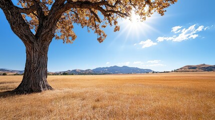 Fototapeta premium Golden Landscape with Tree and Bright Sunlight Over Field