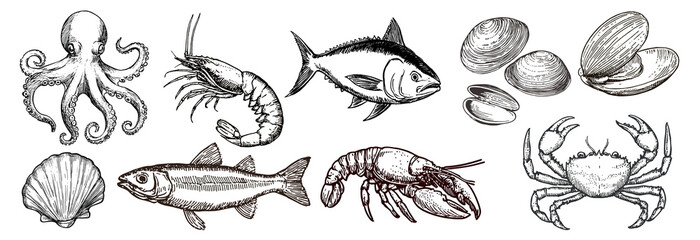 Vintage seafood illustrations collection, PNG element set on transparent background