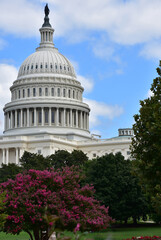 Scenic View of the US Capitol Dome