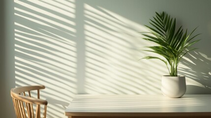 Bright and Airy Office Space with Plant and Natural Light Creating Striking Shadow Patterns on a Minimalist Desk