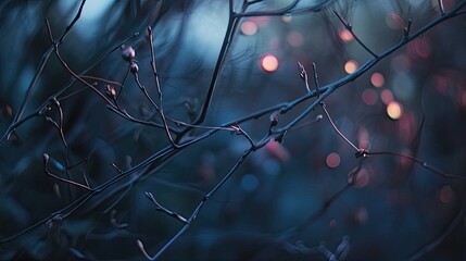 Blurred Lights Among Tree Branches for a Dreamy and Serene Background