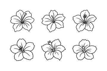 Fototapeta premium set of flowers vector