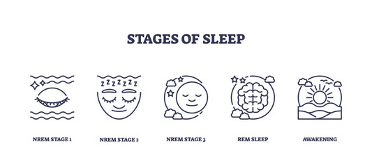 Stages of sleep depicted with icons for NREM and REM phases, transparent background. Key objects, eye, face, brain. Outline icons set.