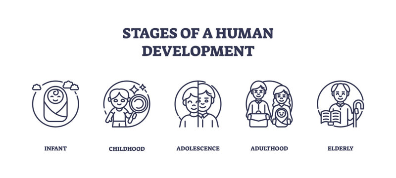 Human development stages depicted with icons of infant, child, adult, transparent background. Outline icons set.