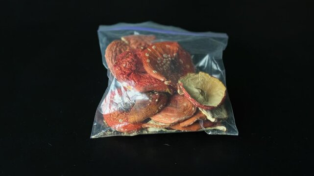 Hands holding a transparent plastic zip bag filled with dried red fly agaric mushrooms, showcasing their textured caps and gills. Symbolizing microdosing and non-traditional healing. Amanita mushrooms
