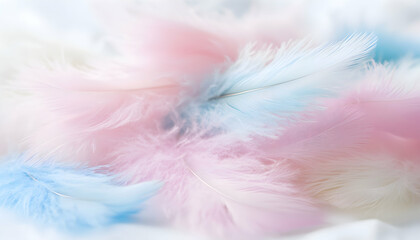Fototapeta premium Soft pastel pink and blue feathers background, delicate, dreamy, airy, light, gentle, fluffy texture. Perfect for website banners, blogs, or feminine designs.