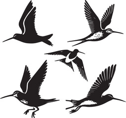 set of common snipe flying poses,black and white bird, snipe illustration
