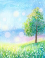 Fototapeta premium 木のメッセージカード