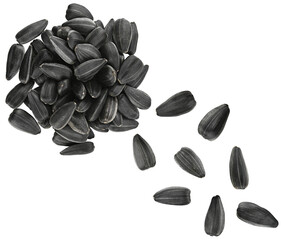 Scattered pile sunflower seeds isolated on a transparent background. Completely in focus. Top view.