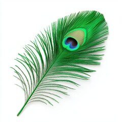 Obraz premium Vibrant Green Peacock Feather with Beautiful Eye Spot Display
