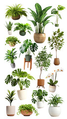 Indoor plant png element set, transparent background