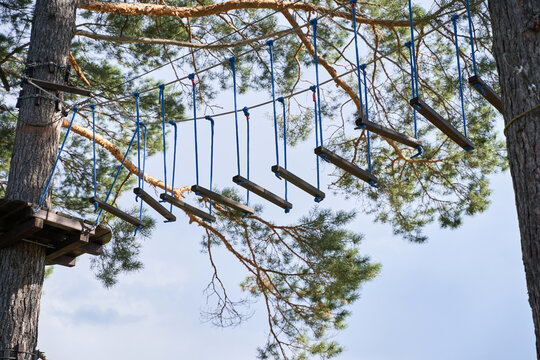 Elevated adventure course in forest with wooden platforms and ropes among tall pine trees.