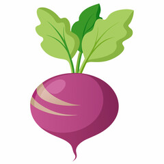 red apple with leaf isolated on whitered apple with leaf isolated on white