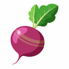 red apple with leaf isolated on whitered apple with leaf isolated on white