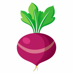 red apple with leaf isolated on whitered apple with leaf isolated on white