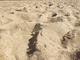 Fine golden sand covering a beach during a sunny day with clear skies, creating a serene and tranquil atmosphere for relaxation