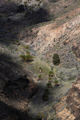 path in the mountains, gran canaria