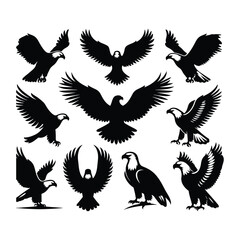 Eagle bird vector on a set design with white background