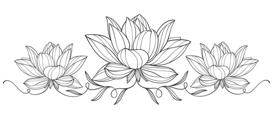 hand drawn sketch of water lily, lotus line art vector eps
