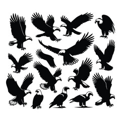 Eagle bird vector on a set design with white background
