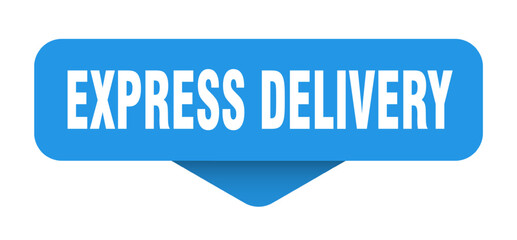 express delivery sticker. express delivery sign on transparent background