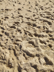 Fine golden sand covering a beach during a sunny day with clear skies, creating a serene and tranquil atmosphere for relaxation