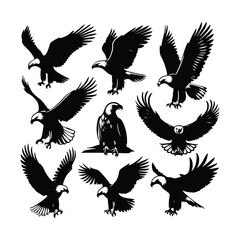 Eagle bird vector on a set design with white background