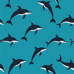 Obraz premium Dolphin Dance Patterns