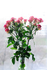 Pink roses in a glass vase by a window. Beautiful spring bouquet.