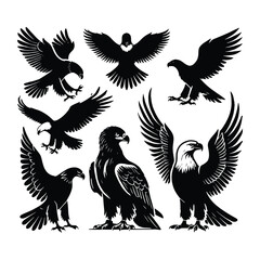 Eagle bird vector on a set design with white background