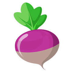 fruit, food, vector, leaf, isolated, green, illustration, apple, nature, fresh, healthy, orange, organic, ripe, natural, plant, white, vegetable, sweet, vegetarian, red, fruits, pear, plum, juicycc