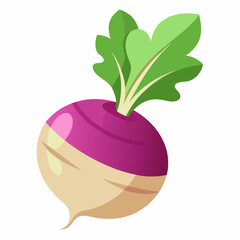 fruit, food, vector, leaf, isolated, green, illustration, apple, nature, fresh, healthy, orange, organic, ripe, natural, plant, white, vegetable, sweet, vegetarian, red, fruits, pear, plum, juicycc