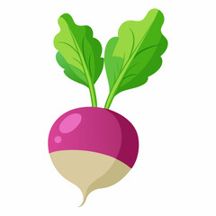 fruit, food, vector, leaf, isolated, green, illustration, apple, nature, fresh, healthy, orange, organic, ripe, natural, plant, white, vegetable, sweet, vegetarian, red, fruits, pear, plum, juicycc