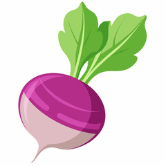 fruit, food, vector, leaf, isolated, green, illustration, apple, nature, fresh, healthy, orange, organic, ripe, natural, plant, white, vegetable, sweet, vegetarian, red, fruits, pear, plum, juicycc