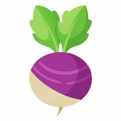 fruit, food, vector, leaf, isolated, green, illustration, apple, nature, fresh, healthy, orange, organic, ripe, natural, plant, white, vegetable, sweet, vegetarian, red, fruits, pear, plum, juicycc