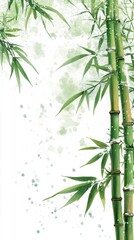 Bamboo, with light snow drifting in the sky, Chinese ancient style illustration, watercolor painting, bright colors, white background