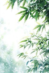 Fototapeta premium Bamboo, with light snow drifting in the sky, Chinese ancient style illustration, watercolor painting, bright colors, white background