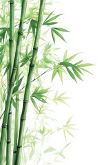 Bamboo, with light snow drifting in the sky, Chinese ancient style illustration, watercolor painting, bright colors, white background