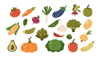 Big set with vegetables. Carrots, garlic, spinach, peas, onions, beets, corn, tomato, broccoli, pumpkin, radish, avocado, cabbage.