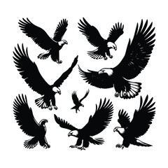 Eagle bird vector on a set design with white background
