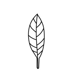 Doodle Leaf 