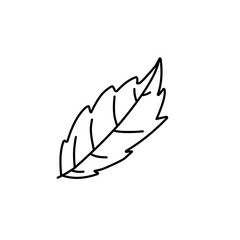 Doodle Leaf 