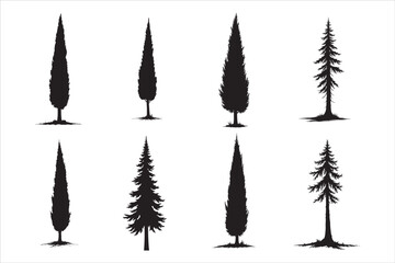 Fototapeta premium Cypress Tree Silhouettes