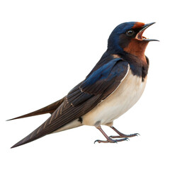 Obraz premium Barn Swallow AI Generated Image