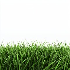 Obraz premium Close Up 3D Illustration of Isolated Green Grass Blades