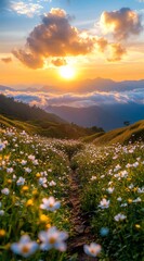 sunset in the mountains